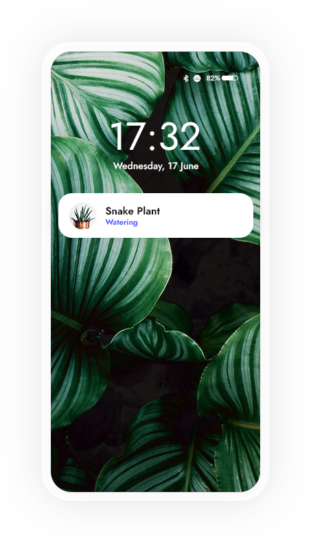 phone copy 9